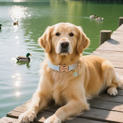 Custom Dog Collar Bling Nylon Dog Collars with Flower Tag Free Engraving Pet Name Buckle Necklace for Small Medium Large Dogs