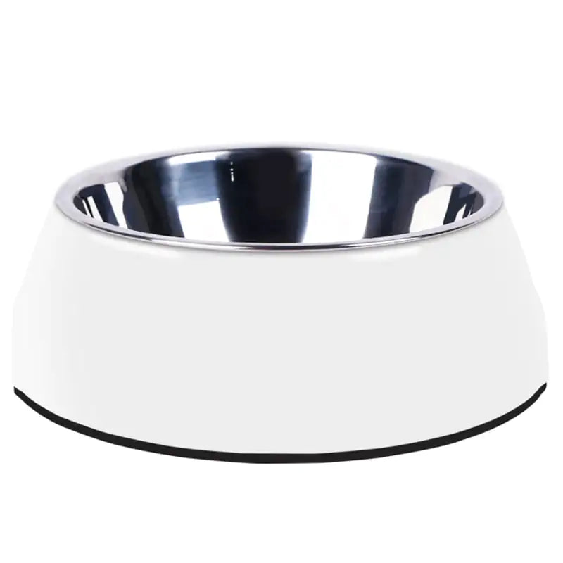 Stainless Steel Dog and Cat Food Bowl