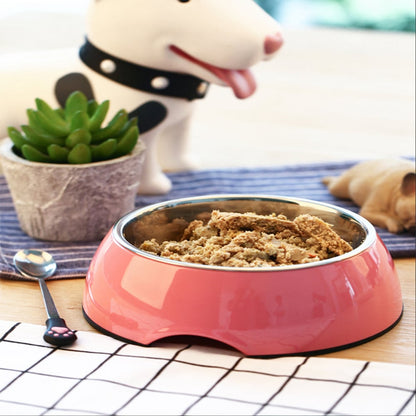 Stainless Steel Dog and Cat Food Bowl
