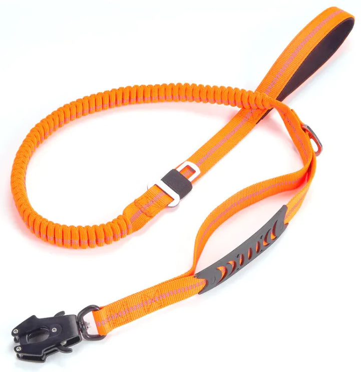 Reflective Night Time Safety Leash