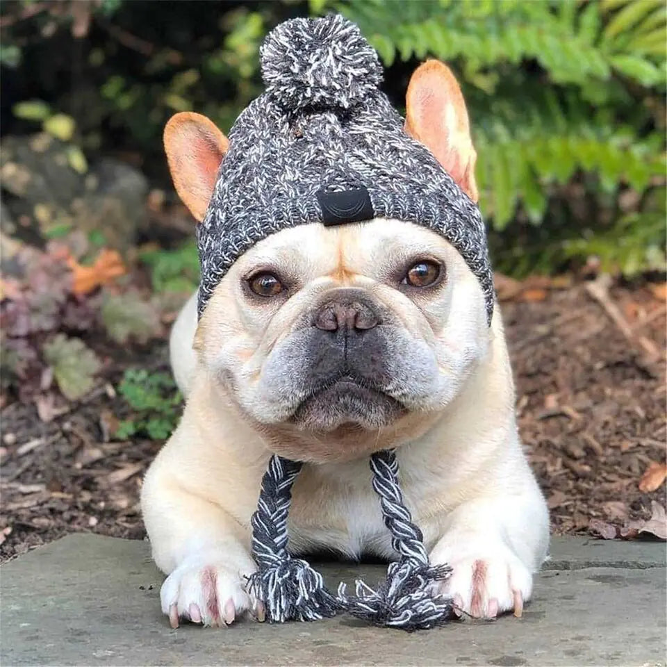 Knitted Canine Cap Companion