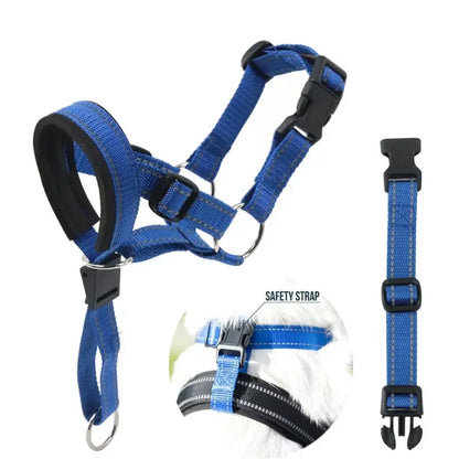 Professional and Adjustable Training Collar
