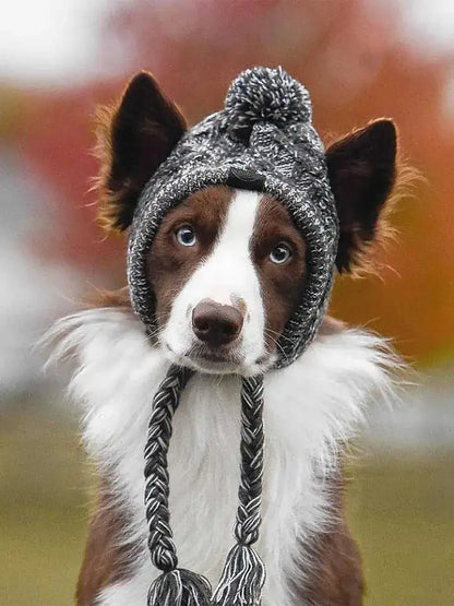 Knitted Canine Cap Companion