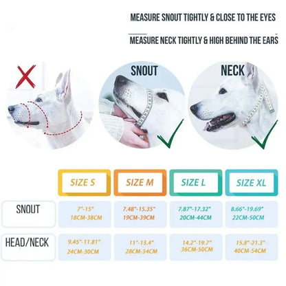 Professional and Adjustable Training Collar