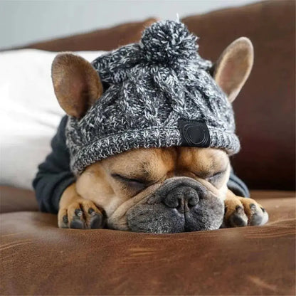 Winter Warmth Bundle - Keep your Dog Cosy and Stylish