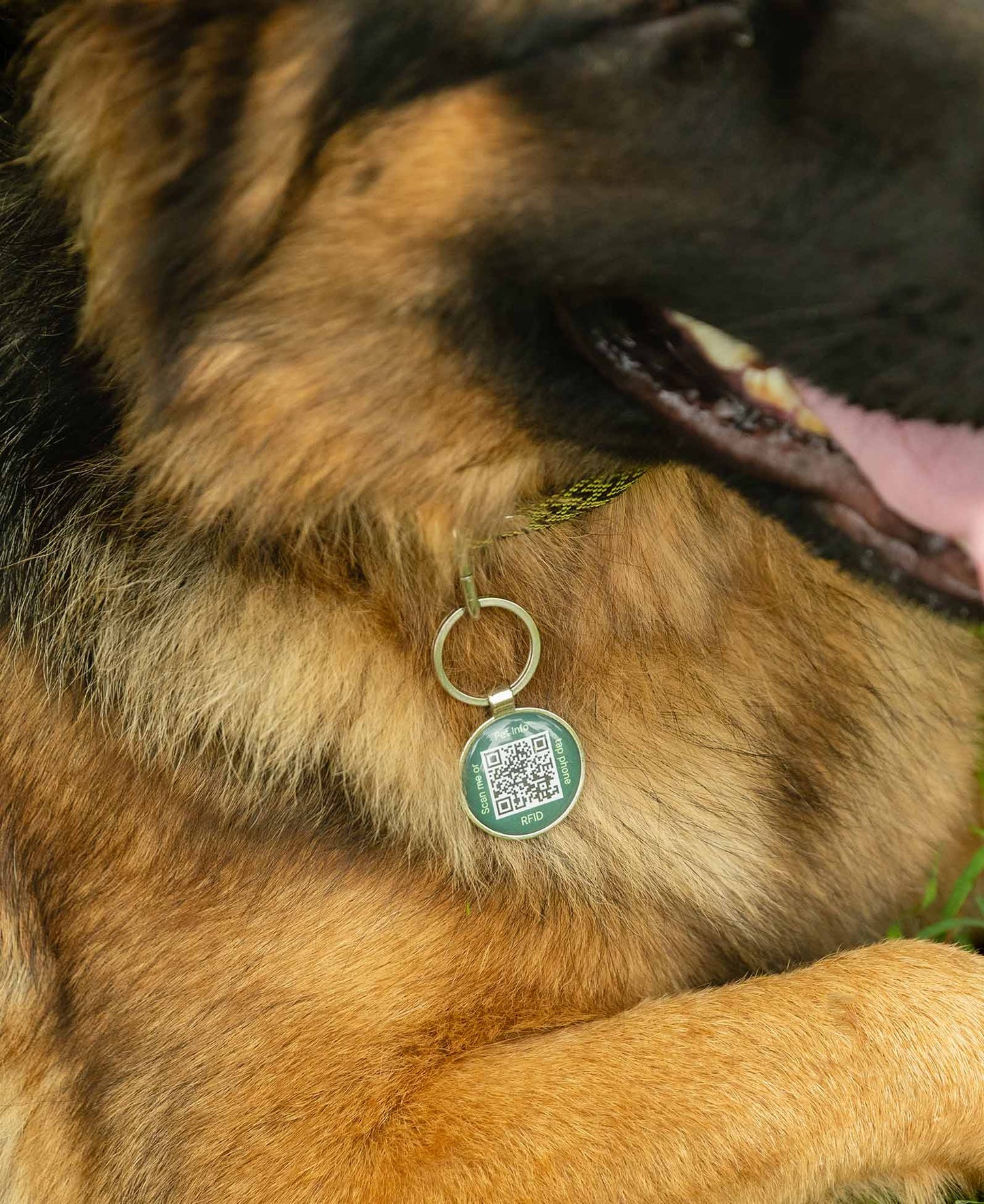 Supernormal QR Lifetime Tracking Pet Tag - GPS-Enabled Smart Pet ID