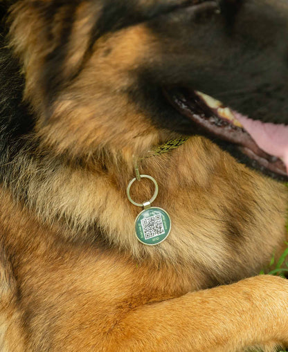 Supernormal QR Lifetime Tracking Pet Tag - GPS-Enabled Smart Pet ID
