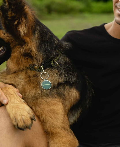 Supernormal QR Lifetime Tracking Pet Tag - GPS-Enabled Smart Pet ID