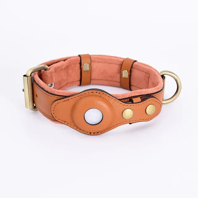 Leather Anti-Lost GPS Dog Collar